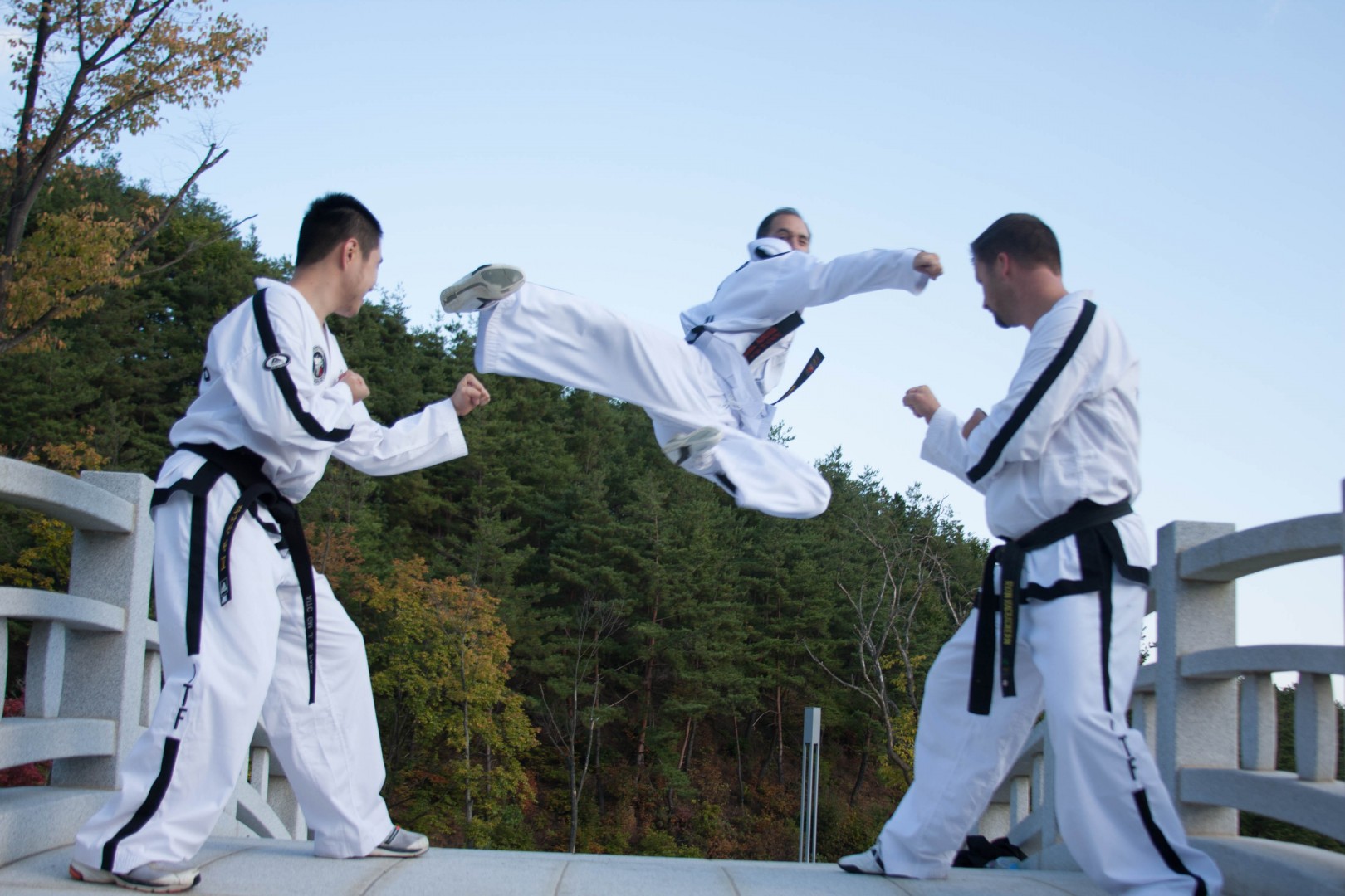 Tecumseh Taekwon-Do Tournament!